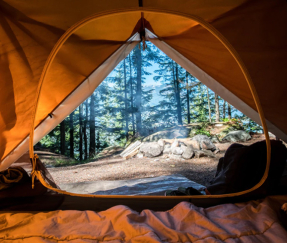 New Model of Tourism Complex – Scenic Campsites