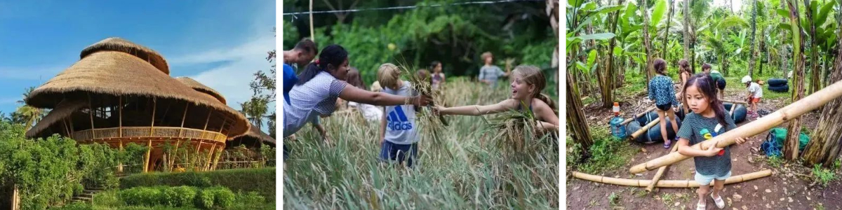 حالات كلاسيكية في صناعة التخييم حالات كلاسيكية في صناعة التخييم