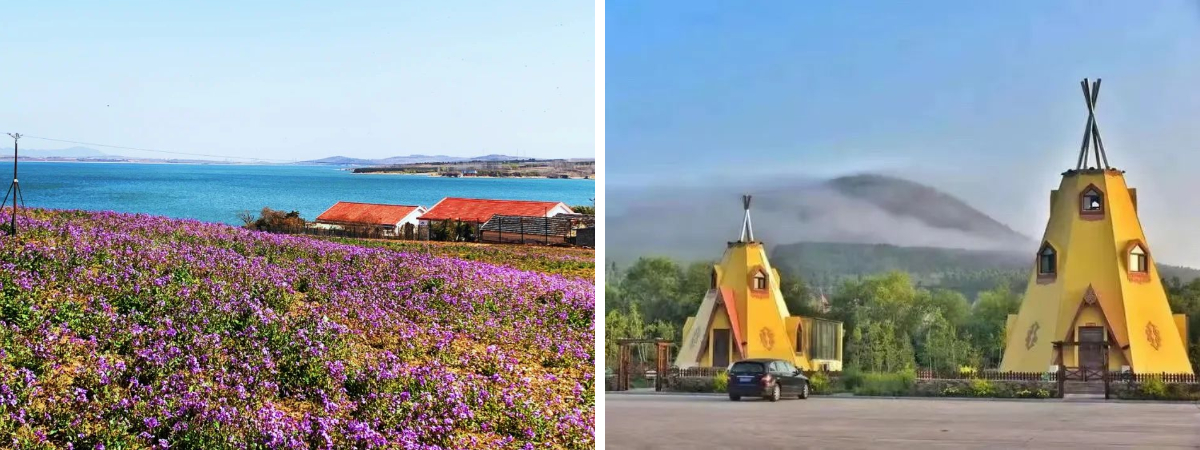 نظرة عامة شاملة على صناعة التخييم نظرة عامة شاملة على صناعة التخييم