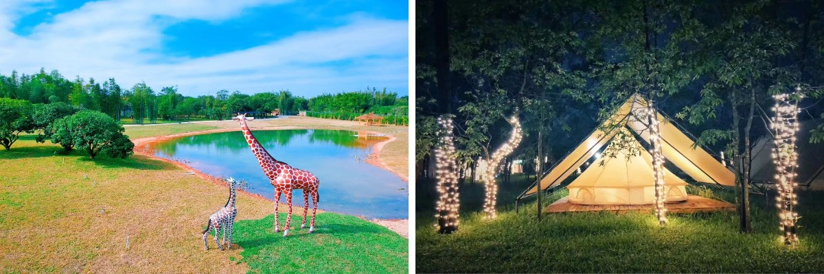 حالات كلاسيكية في صناعة التخييم حالات كلاسيكية في صناعة التخييم