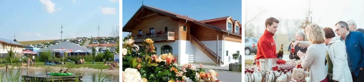 حالات كلاسيكية في صناعة التخييم حالات كلاسيكية في صناعة التخييم